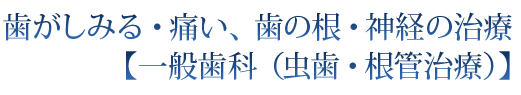 歯がしみる・痛い、歯の根・神経の治療【一般歯科（虫歯・根管治療）】